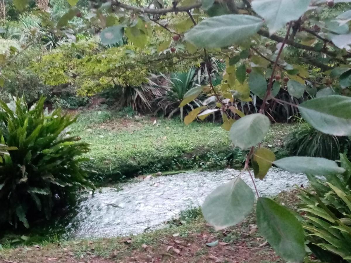 La Bella Ninfa Acomodação com café da manhã Sermoneta Exterior foto